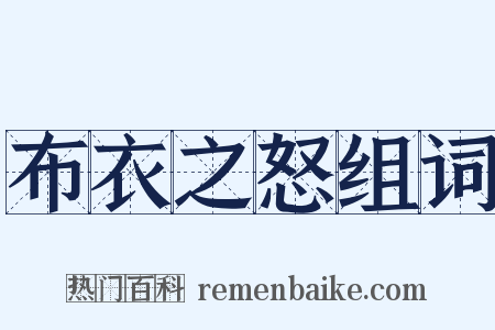 布衣之怒组词是什么意思的图片